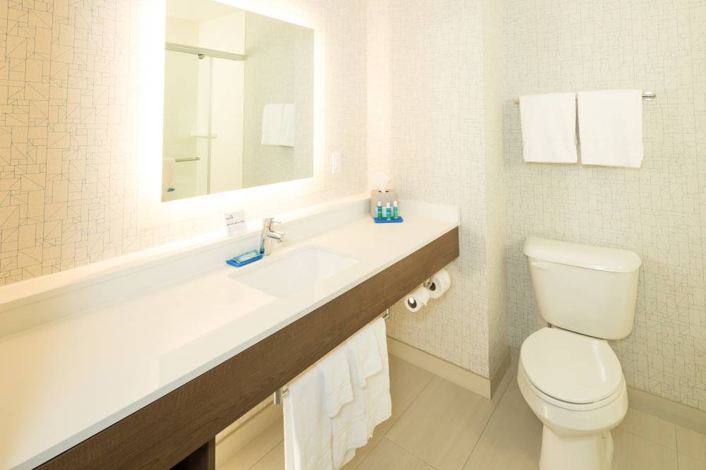 Holiday Inn Exp Stes Auburn