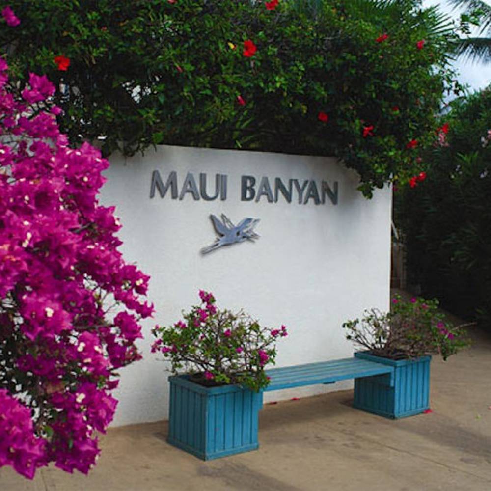 Maui Banyan Club