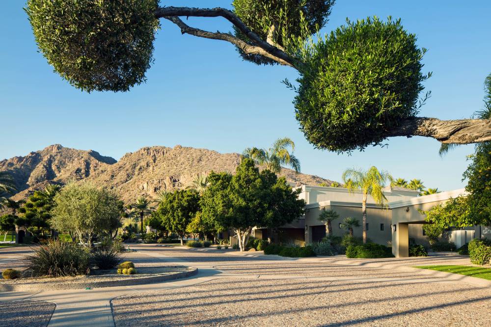 Phoenician Residences, A Luxury Collection Residence Club, Scottsdale